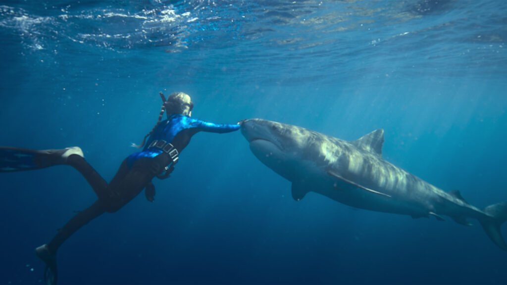 Shark Whisperer Review Still 1