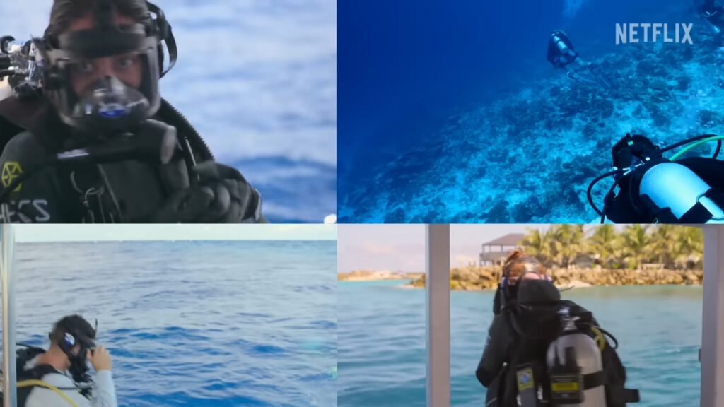 All The Sharks Review Still 3