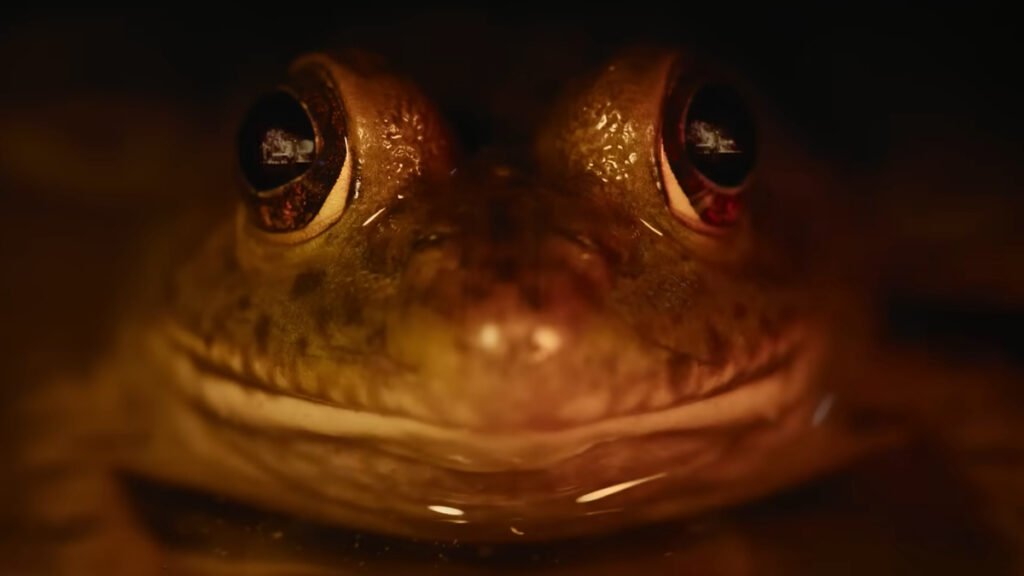 Nightmares of Nature Review Still 1