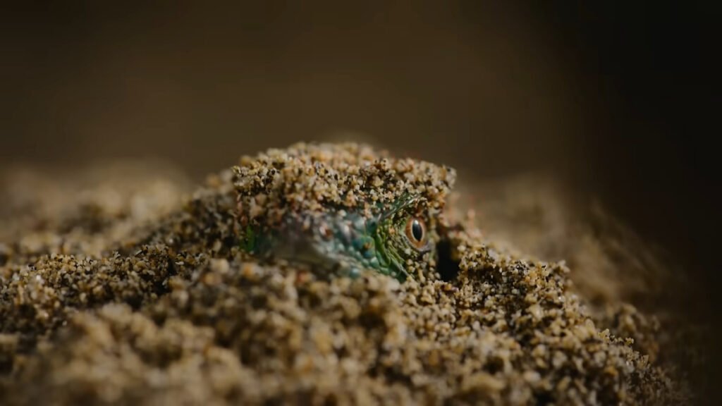 Nightmares of Nature Review Still 4