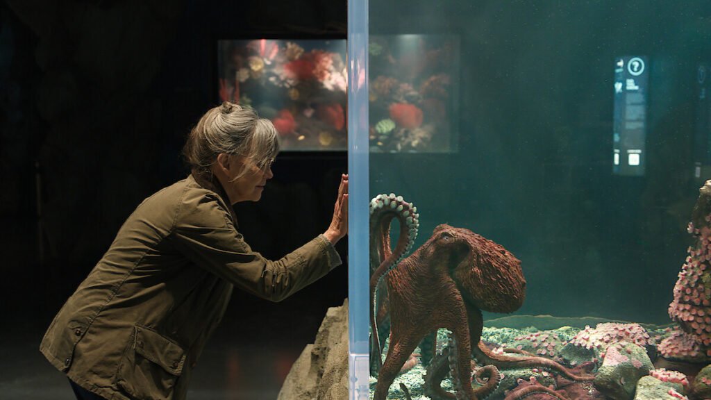 Remarkably Bright Creatures Review Still 1